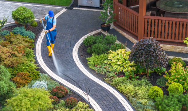 Best Deck Cleaning Services  in Nevada, MO